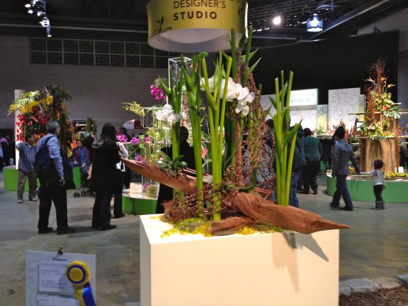 Jane's winning design using Heliconia Torch 'Emerald Forest'