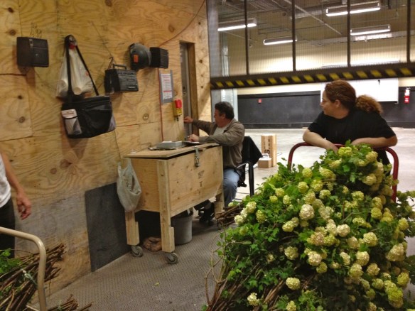 debbie on elevator with viburnum