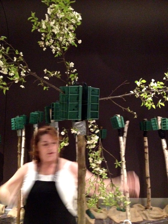 marlene and the trees