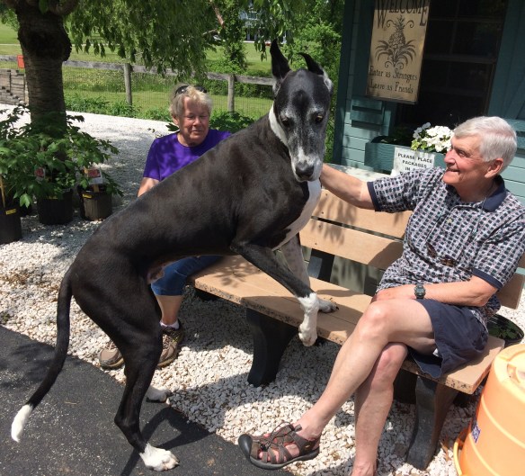 Enter as strangers, leave as friends.  Like the sign says.